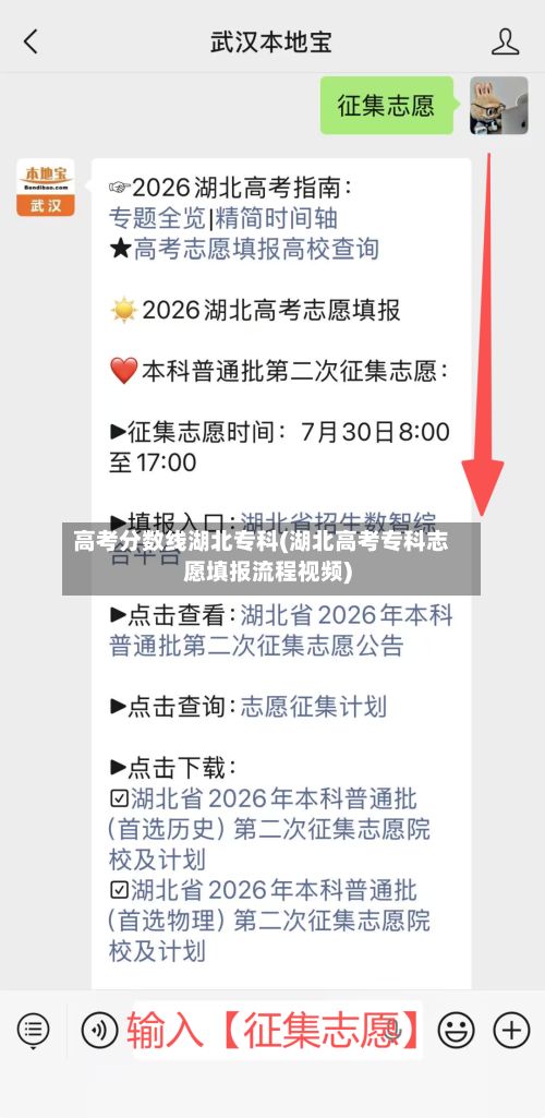 高考分数线湖北专科(湖北高考专科志愿填报流程视频)-第2张图片