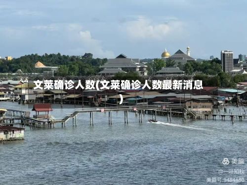 文莱确诊人数(文莱确诊人数最新消息)-第3张图片