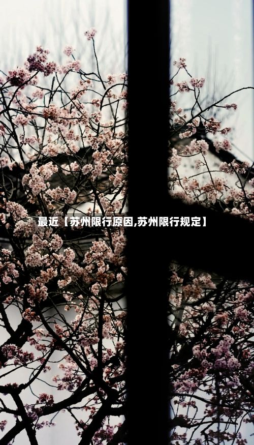 最近【苏州限行原因,苏州限行规定】-第3张图片