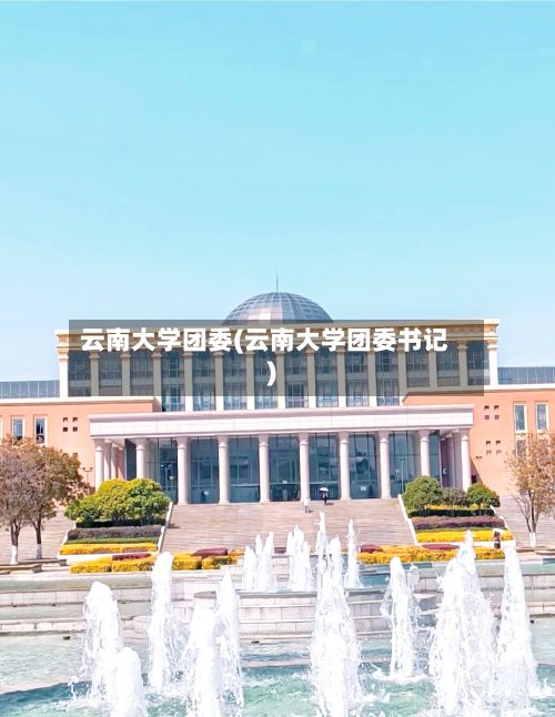 云南大学团委(云南大学团委书记)-第2张图片