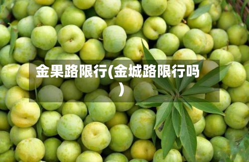 金果路限行(金城路限行吗)