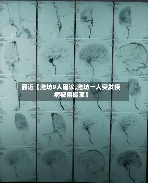 最近【潍坊9人确诊,潍坊一人突发疾病被困棚顶】-第1张图片