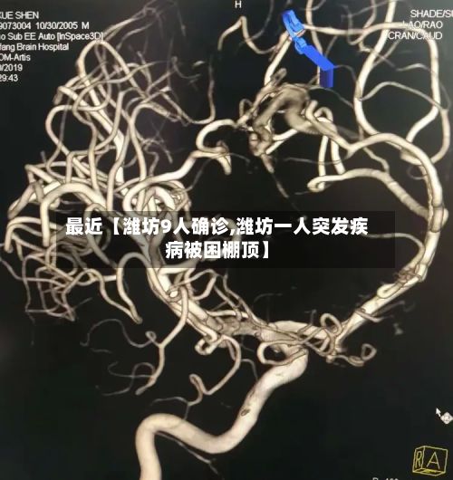 最近【潍坊9人确诊,潍坊一人突发疾病被困棚顶】-第2张图片