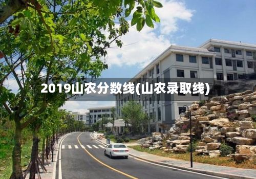 2019山农分数线(山农录取线)-第2张图片