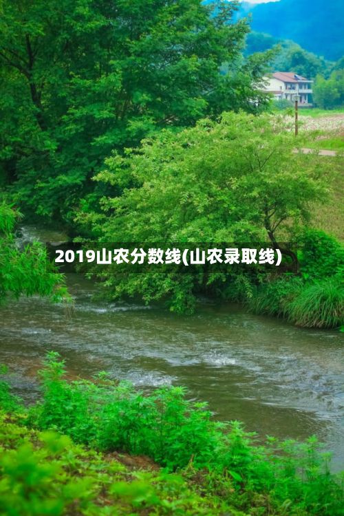 2019山农分数线(山农录取线)