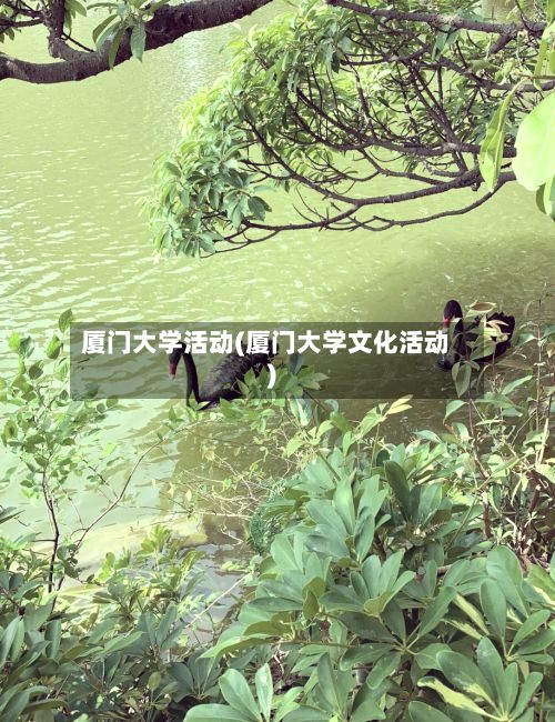 厦门大学活动(厦门大学文化活动)-第2张图片