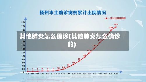 其他肺炎怎么确诊(其他肺炎怎么确诊的)-第1张图片