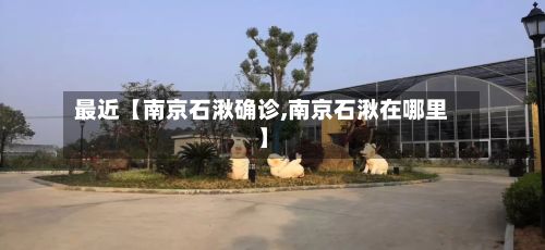 最近【南京石湫确诊,南京石湫在哪里】-第2张图片