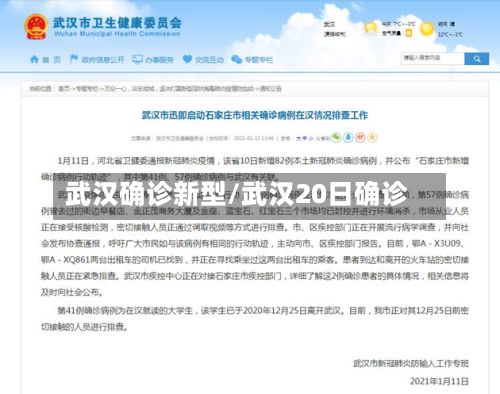 武汉确诊新型/武汉20日确诊-第2张图片