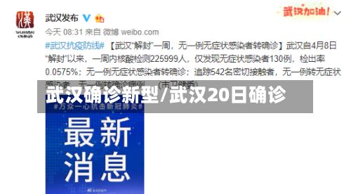 武汉确诊新型/武汉20日确诊