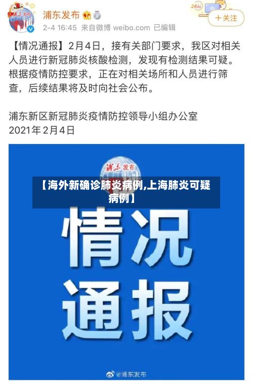 【海外新确诊肺炎病例,上海肺炎可疑病例】-第2张图片