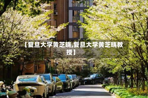 【复旦大学黄芝晓,复旦大学黄芝晓教授】