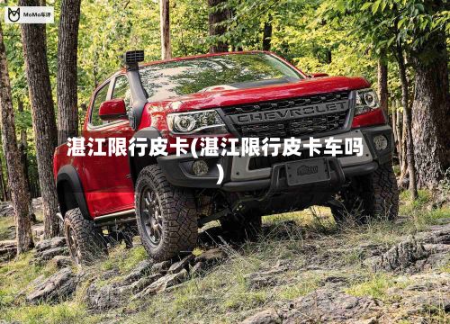 湛江限行皮卡(湛江限行皮卡车吗)-第3张图片