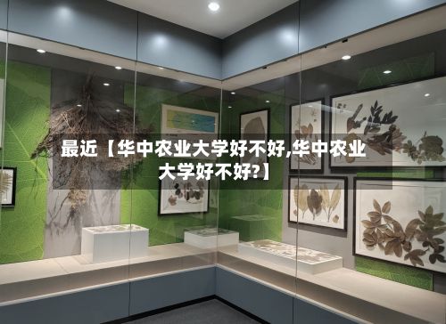 最近【华中农业大学好不好,华中农业大学好不好?】-第2张图片