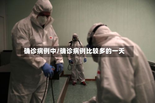确诊病例中/确诊病例比较多的一天