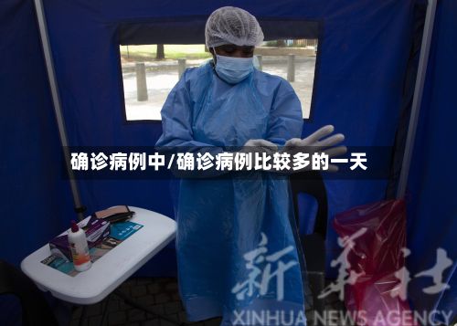 确诊病例中/确诊病例比较多的一天-第2张图片
