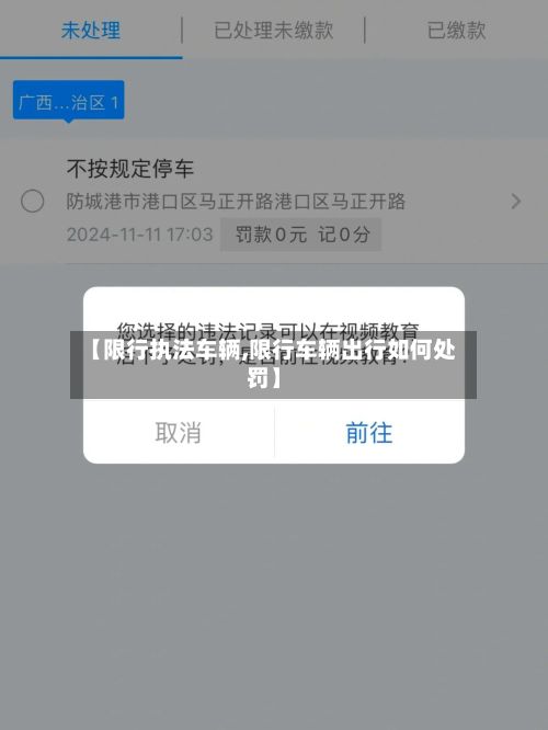 【限行执法车辆,限行车辆出行如何处罚】-第2张图片