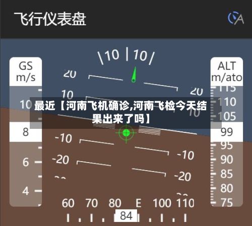 最近【河南飞机确诊,河南飞检今天结果出来了吗】-第2张图片