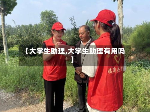 【大学生助理,大学生助理有用吗】-第1张图片