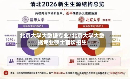 北京大学大数据专业/北京大学大数据专业硕士首次招生