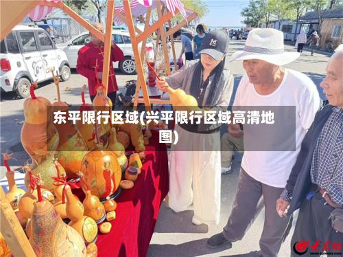 东平限行区域(兴平限行区域高清地图)