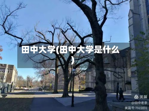 田中大学(田中大学是什么)-第2张图片