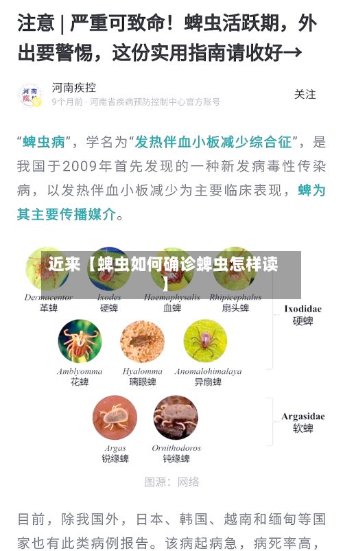近来【蜱虫如何确诊蜱虫怎样读】