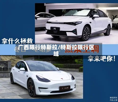 广西限行特斯拉/特斯拉限行区域-第2张图片