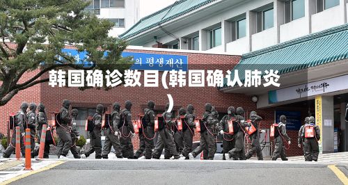 韩国确诊数目(韩国确认肺炎)-第2张图片