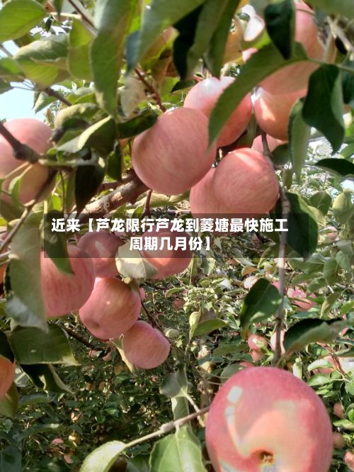 近来【芦龙限行芦龙到菱塘最快施工周期几月份】-第2张图片