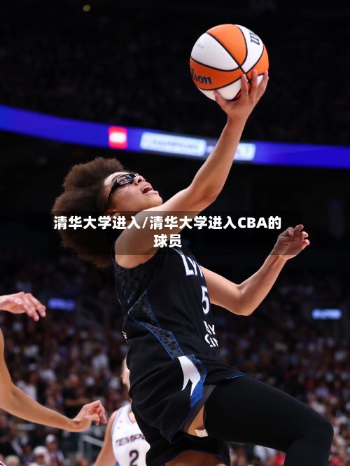清华大学进入/清华大学进入CBA的球员