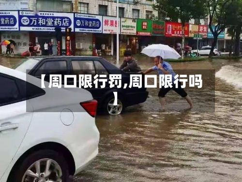 【周口限行罚,周口限行吗】-第3张图片