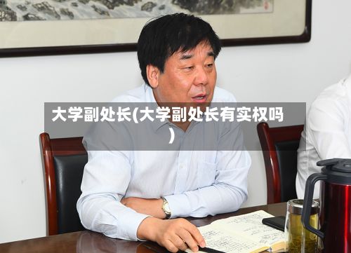 大学副处长(大学副处长有实权吗)