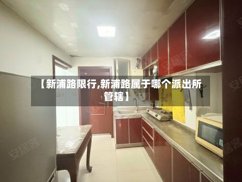 【新浦路限行,新浦路属于哪个派出所管辖】-第2张图片