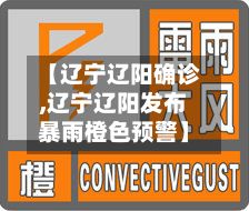 【辽宁辽阳确诊,辽宁辽阳发布暴雨橙色预警】-第3张图片