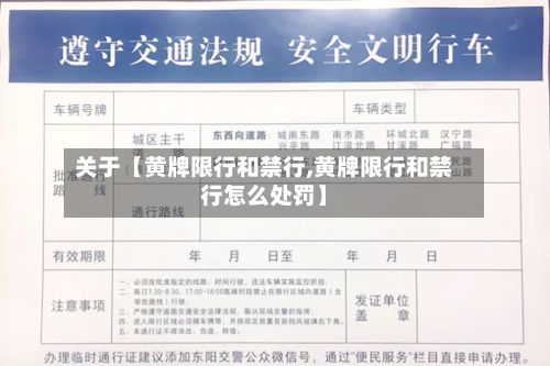 关于【黄牌限行和禁行,黄牌限行和禁行怎么处罚】-第2张图片