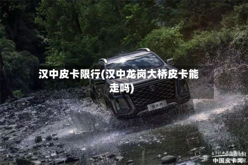 汉中皮卡限行(汉中龙岗大桥皮卡能走吗)