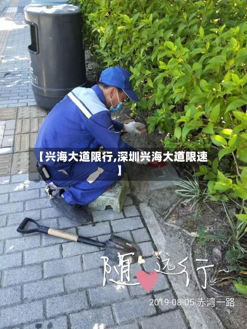 【兴海大道限行,深圳兴海大道限速】