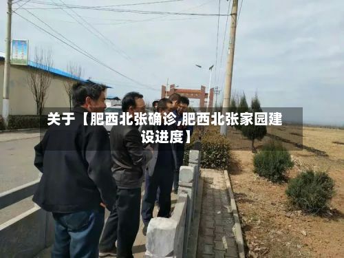 关于【肥西北张确诊,肥西北张家园建设进度】