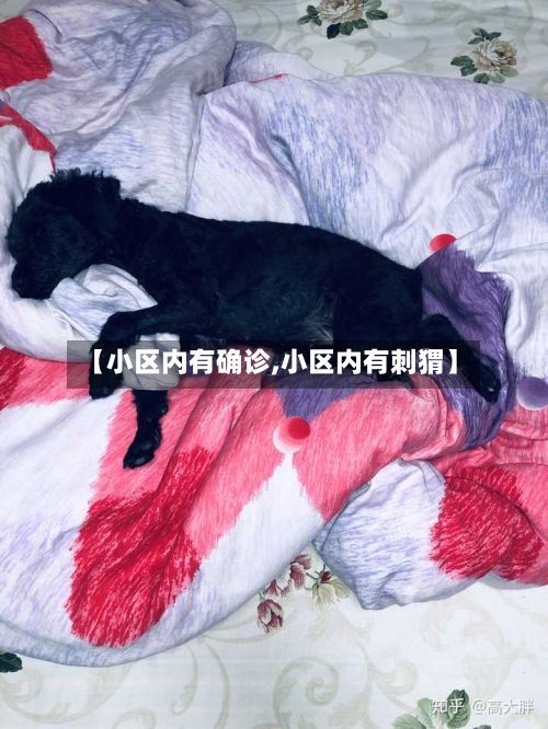 【小区内有确诊,小区内有刺猬】