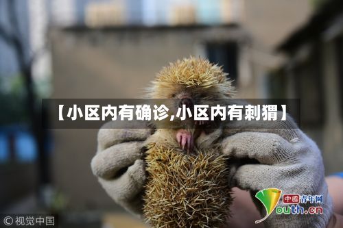 【小区内有确诊,小区内有刺猬】-第2张图片