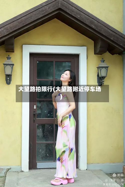 大望路拍限行(大望路附近停车场)