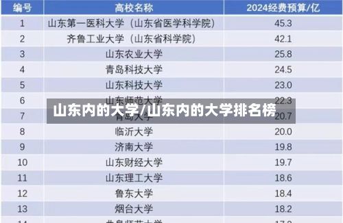 山东内的大学/山东内的大学排名榜-第1张图片