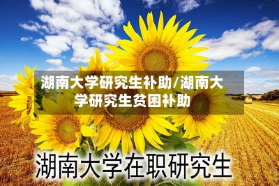 湖南大学研究生补助/湖南大学研究生贫困补助
