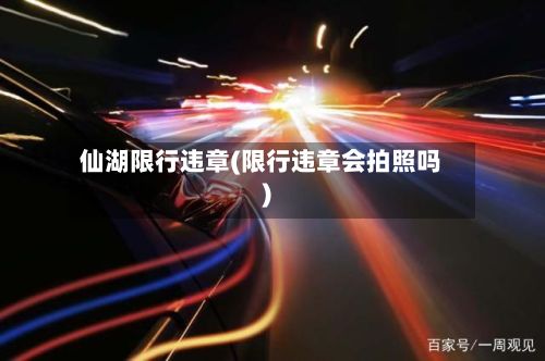 仙湖限行违章(限行违章会拍照吗)