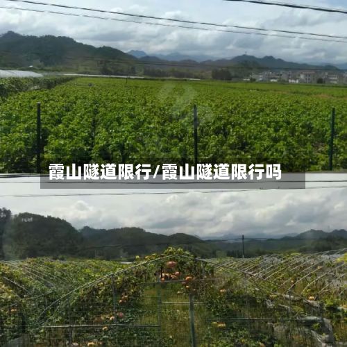 霞山隧道限行/霞山隧道限行吗-第2张图片