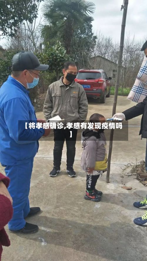 【将孝感确诊,孝感有发现疫情吗】-第2张图片