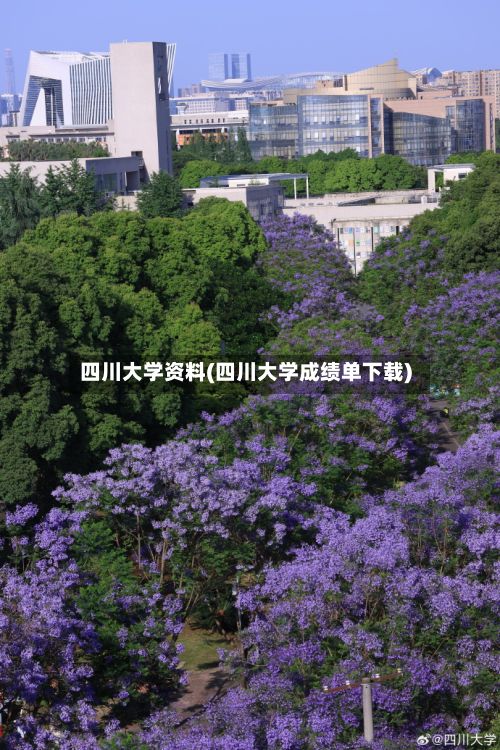 四川大学资料(四川大学成绩单下载)