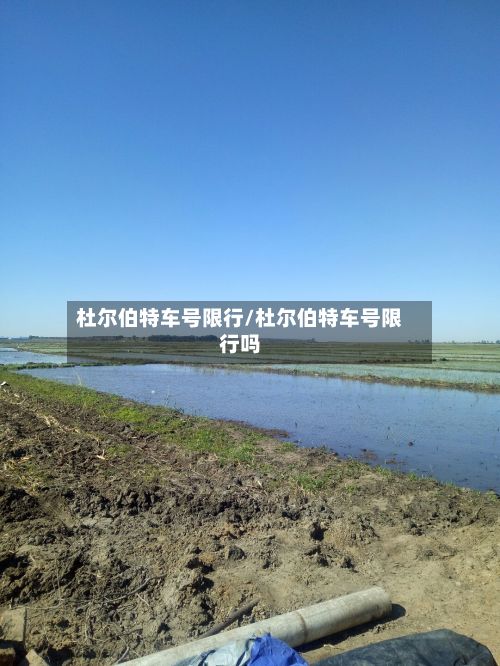 杜尔伯特车号限行/杜尔伯特车号限行吗