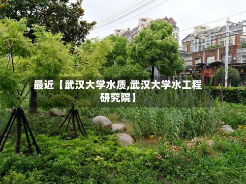 最近【武汉大学水质,武汉大学水工程研究院】-第2张图片